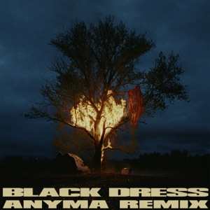 070 Shake — Black Dress (Anyma Remix)