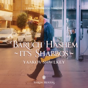 5ivesta Family feat. F Lokshin — Zashem