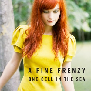 A Fine Frenzy — Almost Lover (Remix)