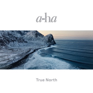 A-ha — Forest For The Trees