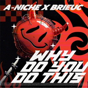 A-Niche feat. Brieuc — Why Do You Do This
