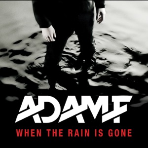 Adam F — When the Rain is Gone (Original Mix)