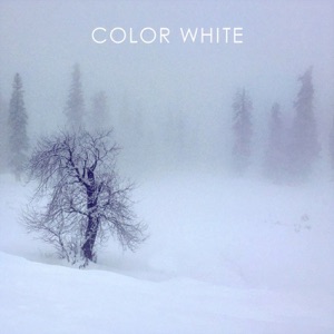 ADAMJZ — Color White