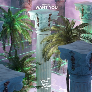 Adon — Want You
