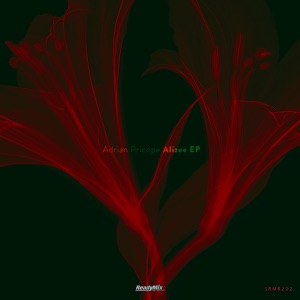 Adrian Pricope — Never Less Than More
