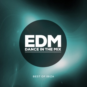 Adver & Sagan — Maya (Original Mix) - 0:00