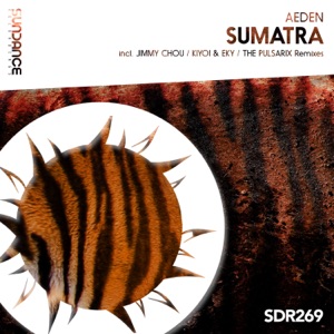 Aeden — Sumatra (The Pulsarix Remix)