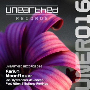 Aerium — Moonflower (Original Mix)