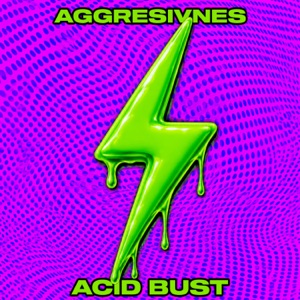 AGGRESIVNES — Acid Bust