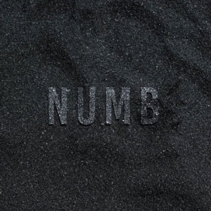 Aisulu Chick Flick — Numb (Cover)