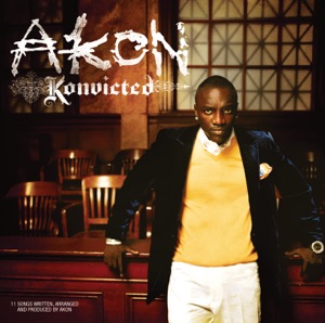 AKON AND SNOOP DOGG — I WANNA LOVE YOU