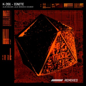 Alan Walker & K-391 — Ignite (Hellberg Remix)