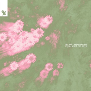 Alex Adair & Shells & Mike Mago — If You Want Me Say It