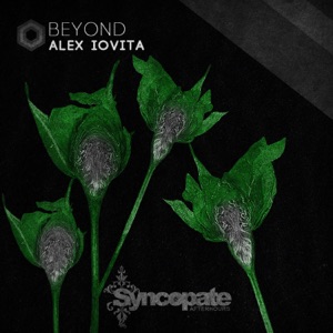 Alex Iovita — Devine Intervention