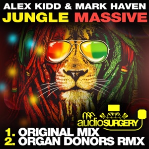 ALEX KIDD/MARK HAVEN — Jungle Massive