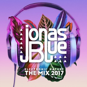ALEX MILLS;EDX;JONAS BLUE — Don't Call It Love