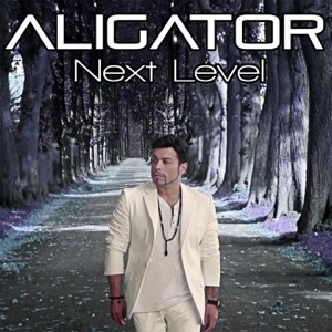 Aligator feat. Daniel Kandi — The Perfect Match (Aligator's Chill Out Remix)