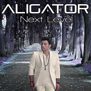 Aligator feat. Daniel Kandi — The Perfect Match (Aligator's Chillout Mix)
