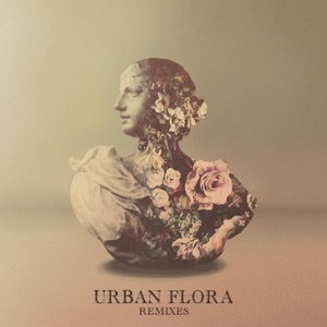Alina Baraz & Galimatias — Can I (Tez Cadey Remix)