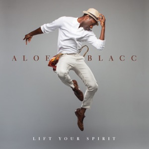 Aloe Blacc — The Man