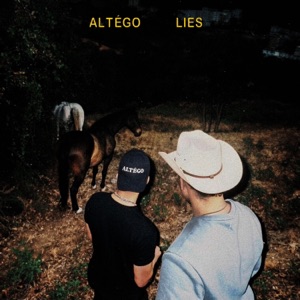 ALTEGO — LIES