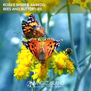 Roger Shah, Ambedo — Bees and Butterflies (Mixed)