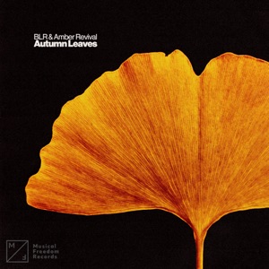 BLR, Amber Revival — Autumn Leaves (Extended Mix)