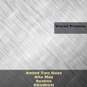 Amind Two Guys — Going Home (Original Mix)