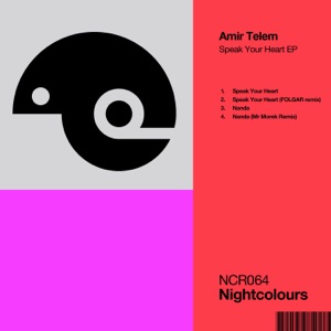 Amir Telem — Nanda (Original Mix)