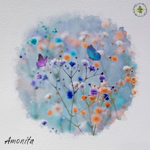 Amonita — Wilwarin