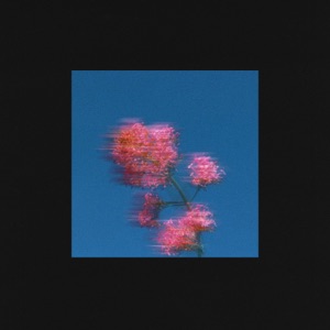 james Carter, AMRAC — Beautiful Life