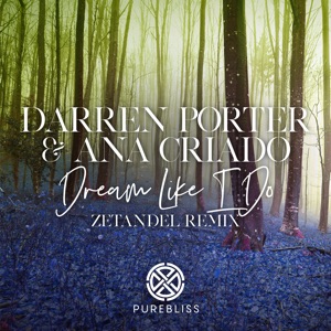 Darren Porter,Ana Criado — Dream Like I Do (Zetandel Remix)