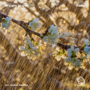 Ancient Score — Valley (Original Mix)