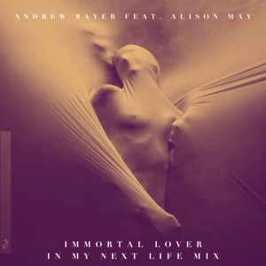 Andrew Bayer ft. Alison May — Immortal Lover (In My Next Life Extended Mix)