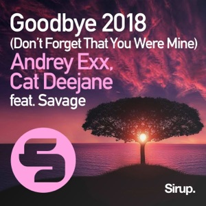 Andrey Exx;Cat Deejane;Savage — Goodbye