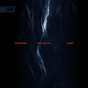 ANDROMEDIK/BARBZ — Feel For You