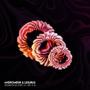 ANDROMEDIK/LEXURUS/NU-LA — Adrenaline