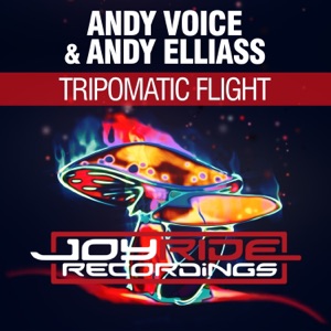 Andy Voice & Andy Elliass — Tripomatic Flight (Extended Mix)