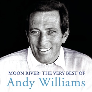 ANDY WILLIAMS — LOVE STORY (WHERE DO I BEGIN)