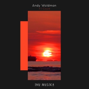 Andy Woldman — If I Could