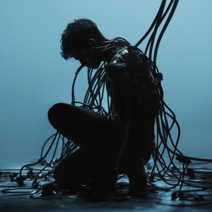 Anyma;Sevdaliza — Fortuna