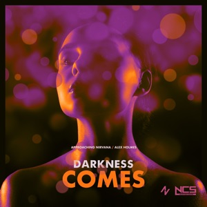 APPROACHING NIRVANA/ALEX HOLMES — Darkness Comes