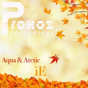 Aqua & Arctic — iE (Love Taste Remix)