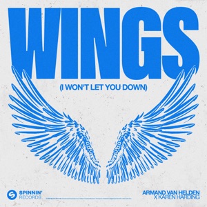 Armand Van Helden — Wings