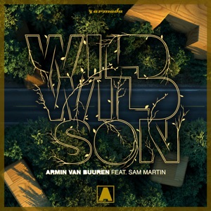 Armin van Buuren Ft. Sam Martin — Wild Wild Son