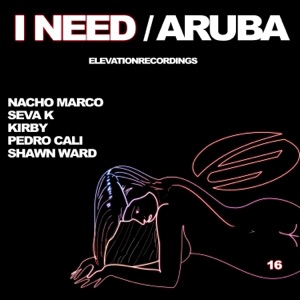 Aruba — I Need (Nacho Marco Remix)