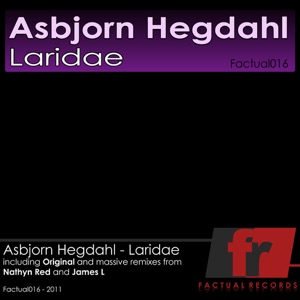Asbjorn Hegdahl — Laridae (Original Mix)