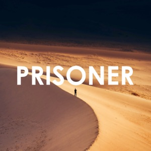Ashlee & Creative Ades — Prisoner (Remix)