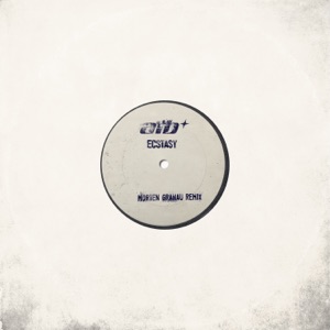 ATB — Ecstasy (Morten Granau Remix)
