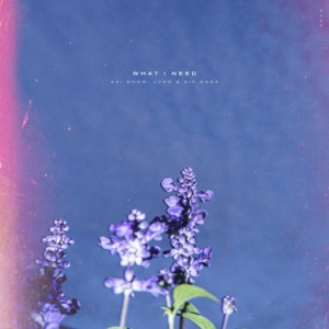 Avi Snow — What I Need
